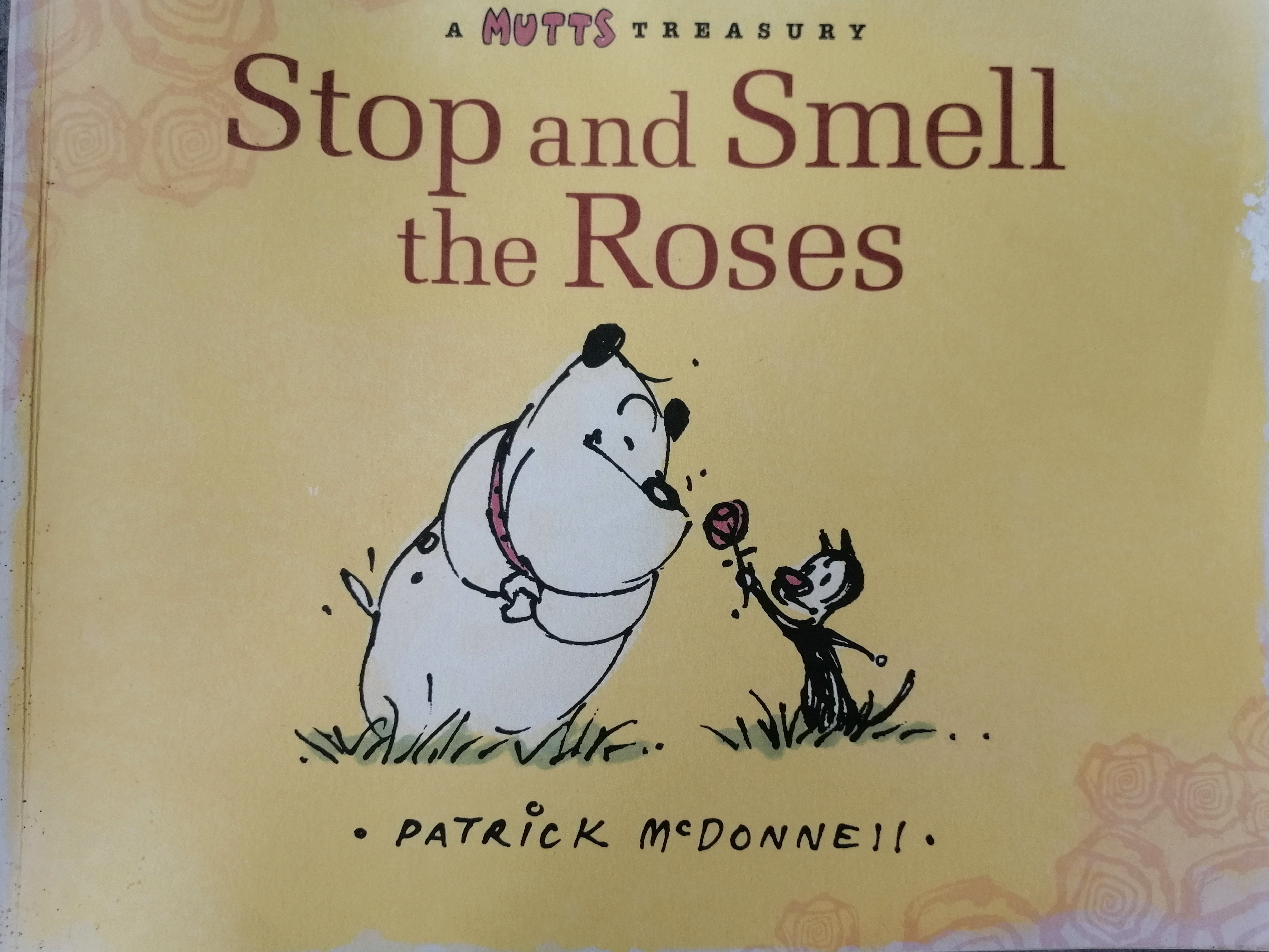 stop_and_smell_the_roses_cover